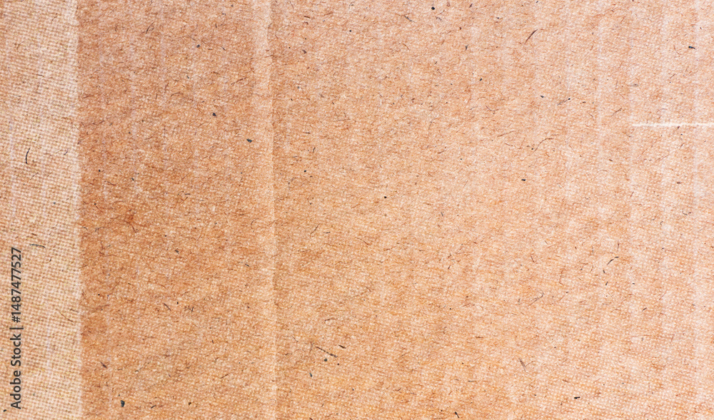 Fototapeta premium A sheet of recycled cardboard texture as background