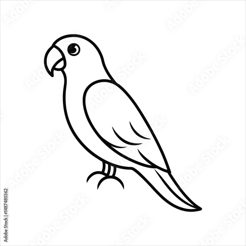 vector illustration of a parrot