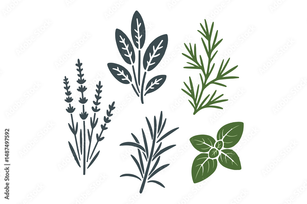 Fototapeta premium set of plants