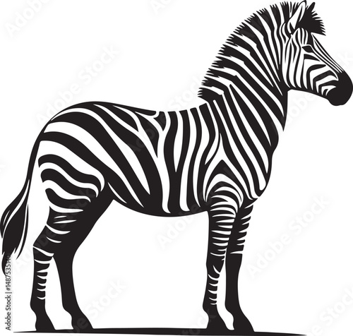 a zebra vector