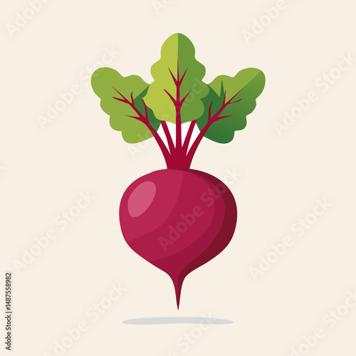 Perfect Vector Illustration of Beetroot — Fresh Organic Vegetable Icon for Food and Healthy Design