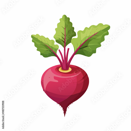 Perfect Vector Illustration of Beetroot — Fresh Organic Vegetable Icon for Food and Healthy Design