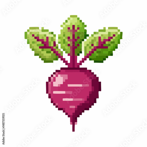 Perfect Vector Illustration of Beetroot — Fresh Organic Vegetable Icon for Food and Healthy Design