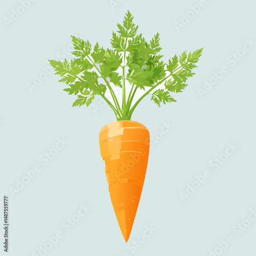 Perfect Vector Illustration of Carrot — Fresh Vegetable Icon for Food, Health, and Organic Design Themes