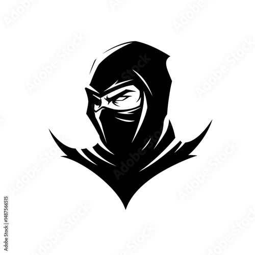 Mysterious Sentinel: A stark black and white image of a hooded figure, representing the silent vigilance and mastery of ancient practices.