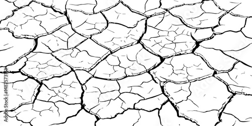 Vector background. Desert backdrop.The cracks texture white and black.Cracks in dry surface soil texture	
