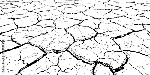 Vector background. Desert backdrop.The cracks texture white and black.Cracks in dry surface soil texture	
