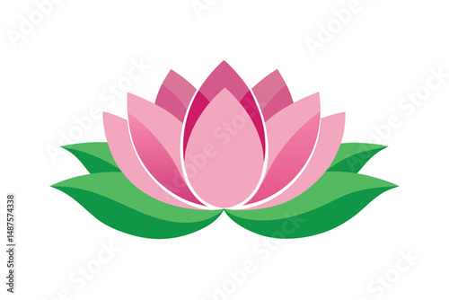 lotus flower with leaf isolated on white background