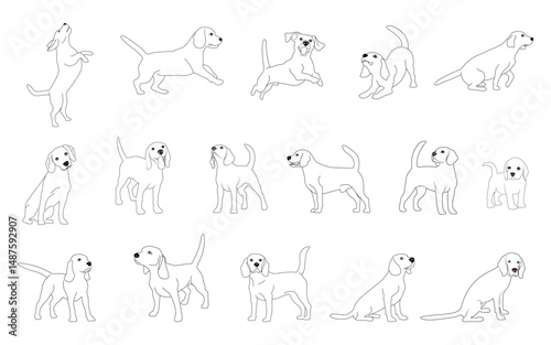 Beagle-12  [Converted]