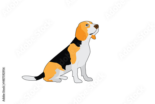 Beagle-12  [Converted]