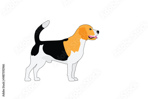 Beagle-12  [Converted]