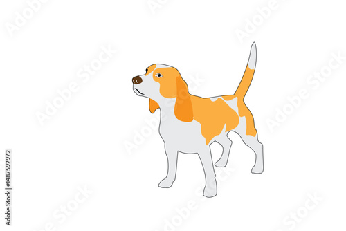 Beagle-12  [Converted]