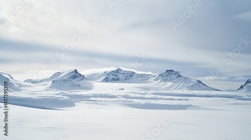 Wallpaper Mural Tranquil Winter Serenity: White Sky Background Wallpaper for Enchanting Snow Scenes Torontodigital.ca