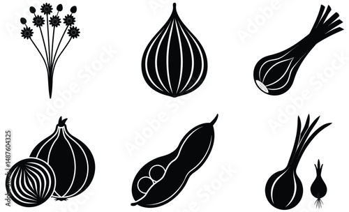 Pod and Seed Vegetable Set Silhouette – Vector Illustration of Edible Plant Pods and Seeds for Organic Food, Botanical, and Culinary Design Projects