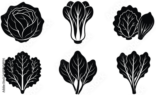 Leafy Greens Vegetable Silhouette Set – Vector Illustration of Fresh Edible Leaves for Organic Food, Botanical, Healthy Eating, and Eco-Friendly Design Projects