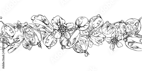 Gooseberry Currant garden berries leaves flowers in water dew drops hand drawn in vector ink. Seamless isolated banner garland. Home preserves, textile stationery, food store decor, recipe book, menu