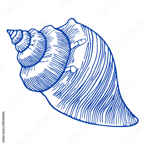 Spiral Shell Engraving. Blue Ink Line Art. Vector Marine Design. Ocean underwater nautical seashells