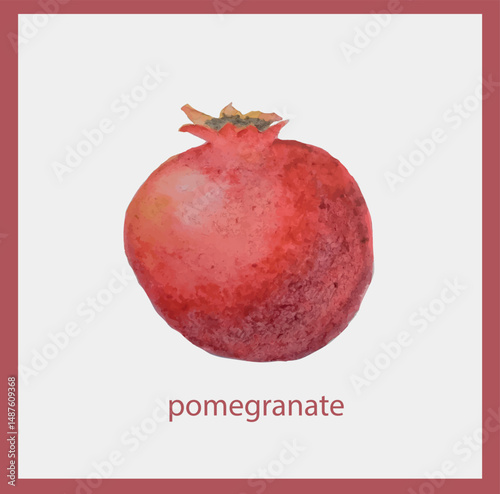 Pomegranate watercolor postcard on light grey stock vector illustration for web, for print