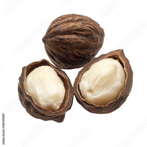 Shea Nut Isolated on Transparent Background