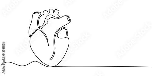 Human heart with blood vessels one line art. Continuous line drawing of human, internal, organs, heart, vector, A single line drawing of a realistic human heart, Continuous Line Anatomical Heart.