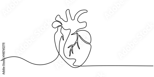 Human heart with blood vessels one line art. Continuous line drawing of human, internal, organs, heart, vector, A single line drawing of a realistic human heart, Continuous Line Anatomical Heart.