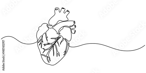 Human heart with blood vessels one line art. Continuous line drawing of human, internal, organs, heart, vector, A single line drawing of a realistic human heart, Continuous Line Anatomical Heart.