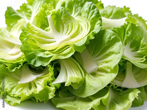 Green Lettuce Leaves