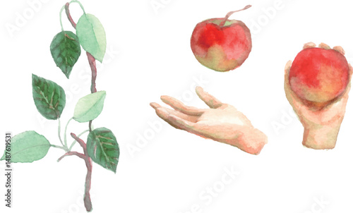 A set of illustrations that hands and apples