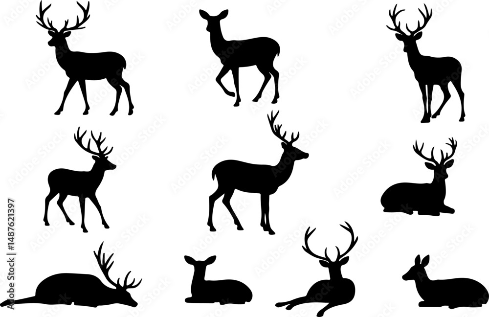 Fototapeta premium African Animal Silhouettes Collection