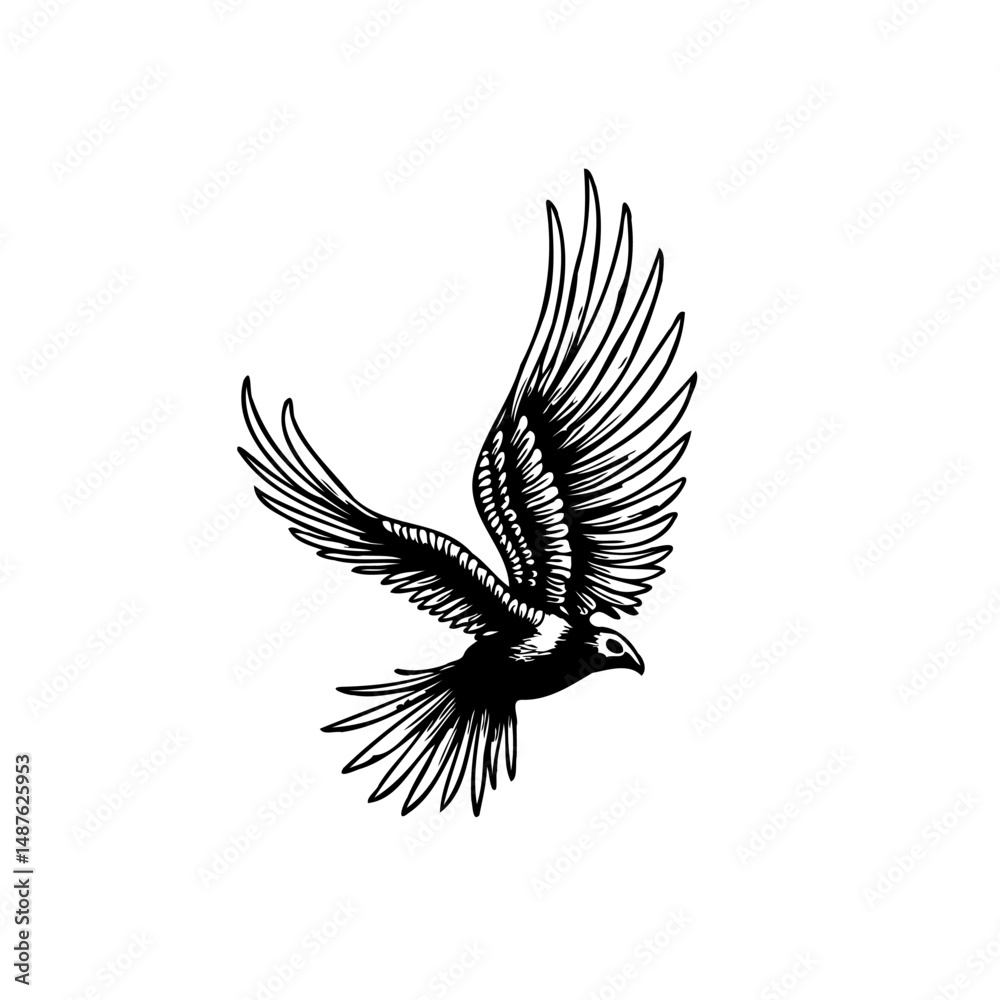 Obraz premium Monochromatic etching of a bird in downward flight displaying textured plumage