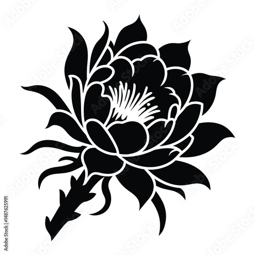 Pitahaya Flower Silhouette, Vector, Illustration, Icon, Logo, White Background.