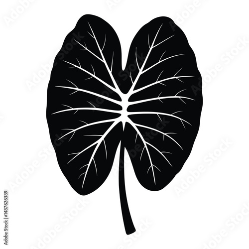 Taro Leaf Silhouette, Vector, Illustration, Icon, Logo, White Background.