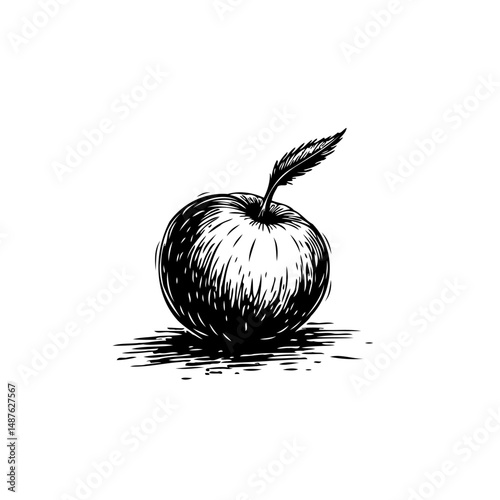 Monochrome sketch of a ripe apple, adorned with a single leaf, evoking simplicity