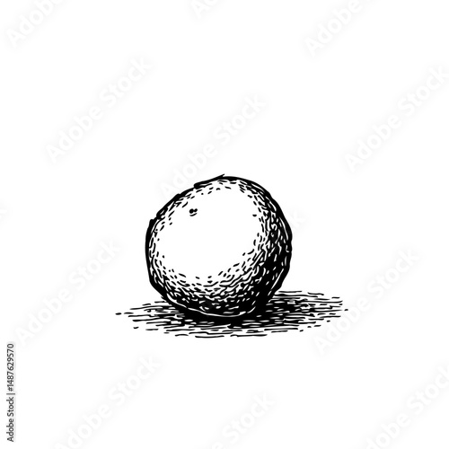 Monochrome depiction of a sphere rendered through intricate hatching techniques