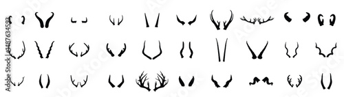 Collection of Horns