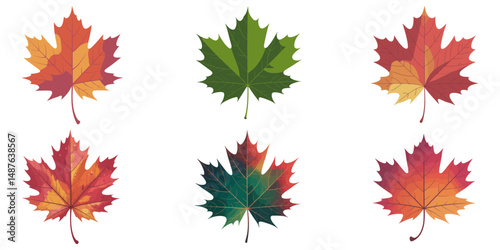 green leaf icons set, Set of green leaf icons. Green color. Leafs green color icon logo. Leaves on white background. Ecology. Vector illustration, Leaves Icon - Vector Stock Illustration. Leaf Shapes 