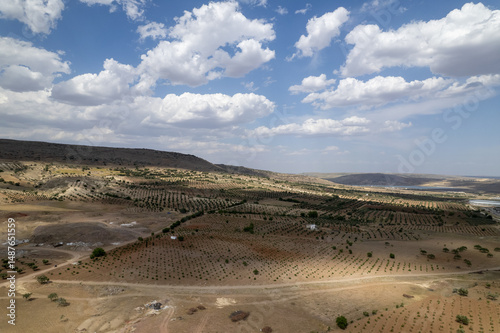 Aerial View of Olive Groves and Agricultural Fields in Kilis, Turkey with Mountains and Clouds