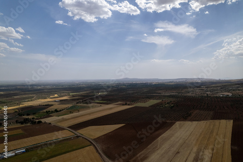 Aerial View of Olive Groves and Agricultural Fields in Kilis, Turkey with Mountains and Clouds