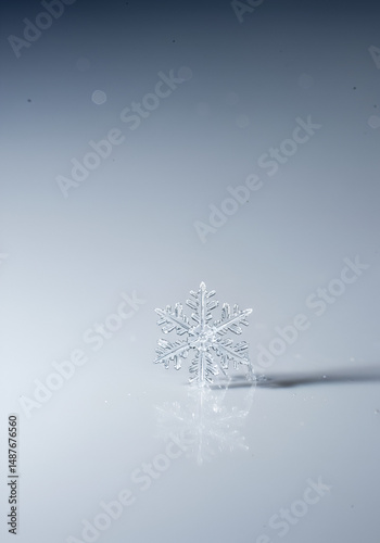 Single snowflake on a white surface