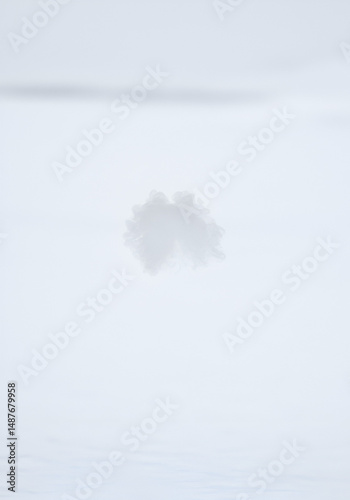 Soft, pale cloud against a pale sky