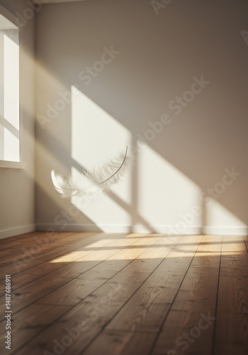 Sunlight streams into empty room with feather shadows
