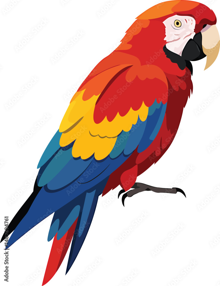 Obraz premium Minimalist Macaw Vector Design