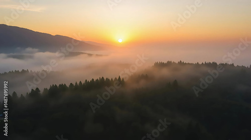 Aerial panorama of a misty forest at sunrise. Golden fog over mountain valleys. Flying above lush green treetops. Morning haze, rural fields, sun peeking over the horizon. natural landscape.