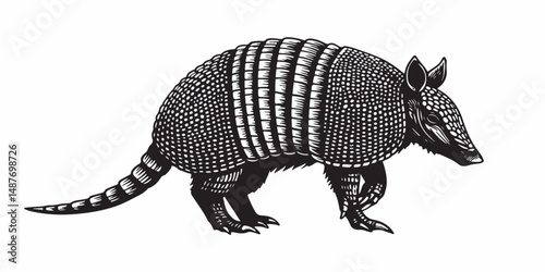 Armadillo Silhouette Vector, Wild Animal Profile Illustration