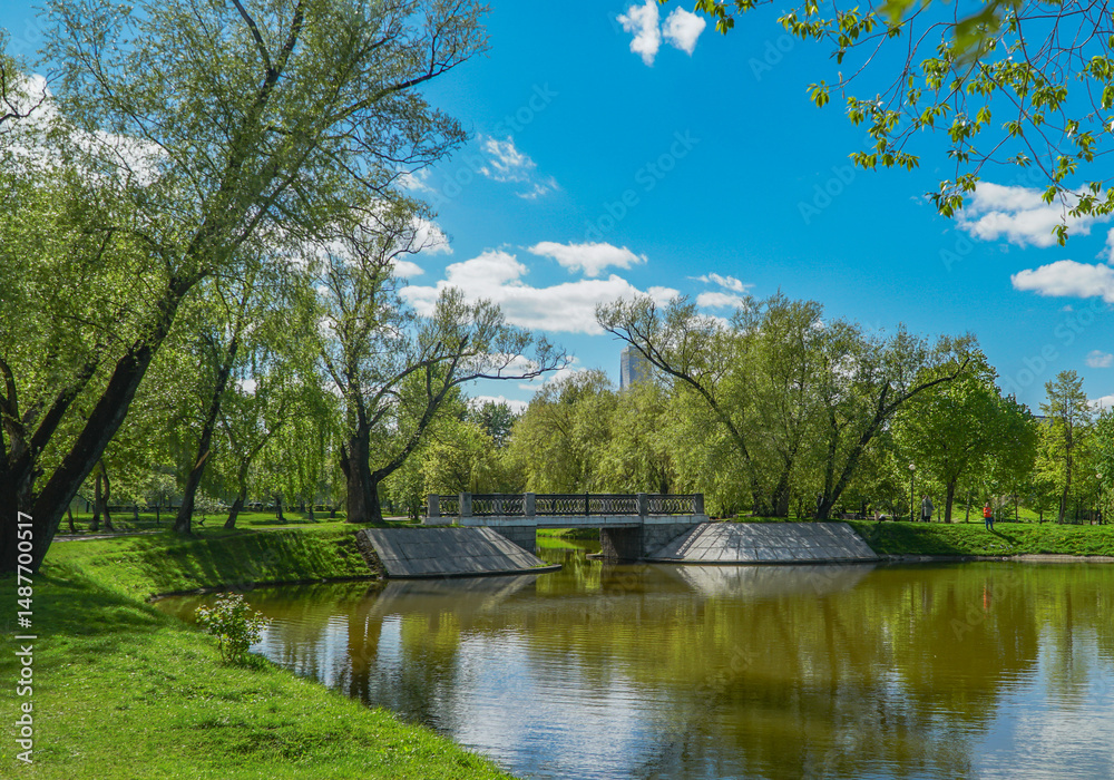 Fototapeta premium bridge over the river
