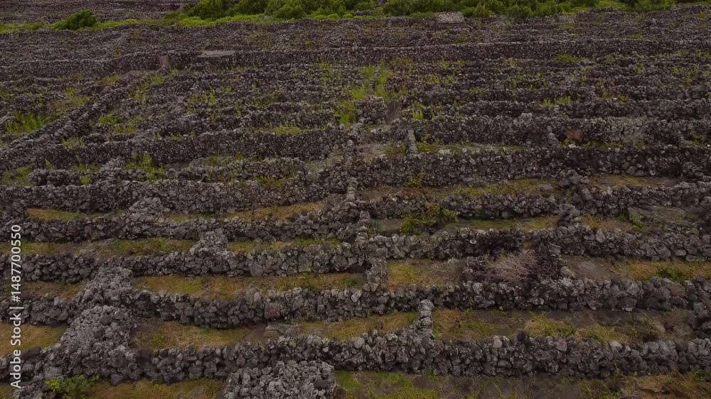Views of Pico island, Azores, Portugal