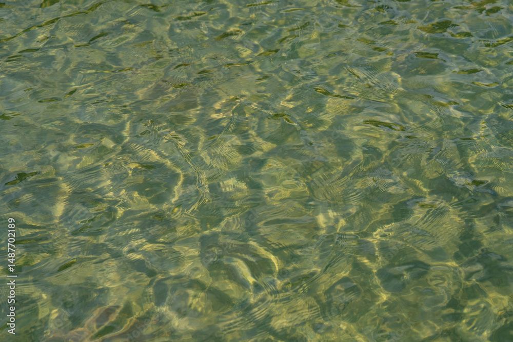green water surface green water surface