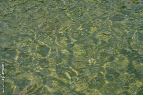 Fototapeta Naklejka Na Ścianę i Meble -  green water surface