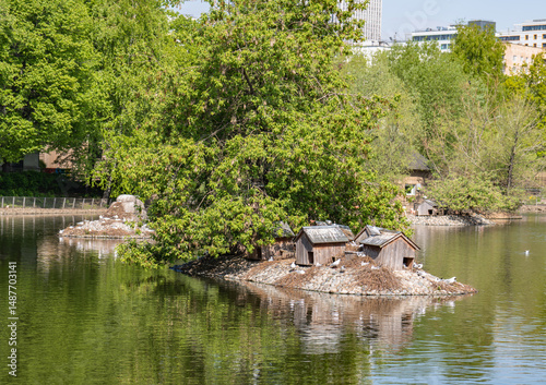 Canvas Print Moscow Zoo with a pond