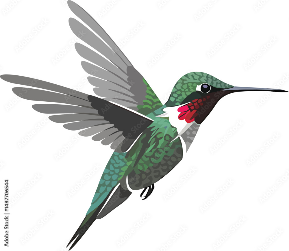 Obraz premium Minimalist Hummingbird Vector